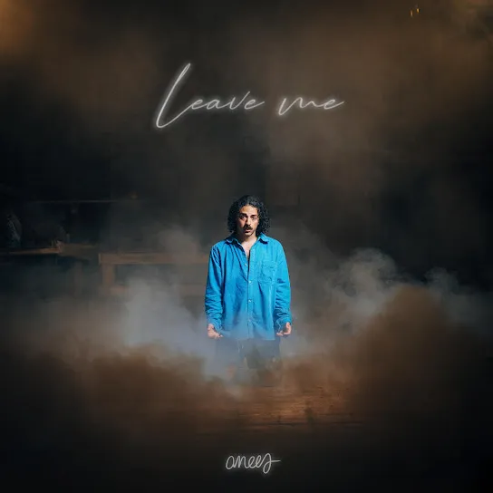 Anees - leave me Mp3 Download