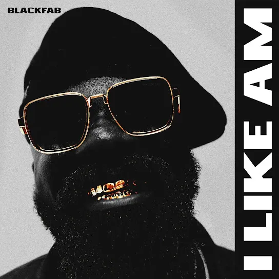 Black Fab - I Like Am Black Fab - I Like Am Mp3 Download