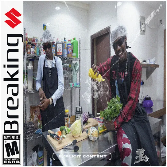 Mavo - Aura Salad Ft. SSSoundGawd Mavo - Aura Salad Ft. SSSoundGawd Mp3 Download