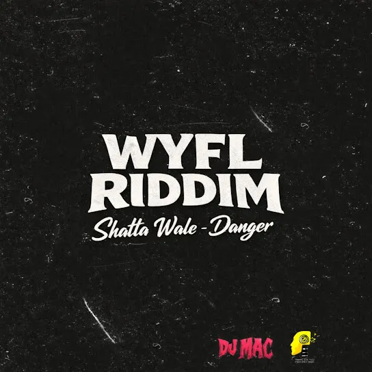 Shatta Wale - Danger Ft. DJ MAC & CrashDummy Mp3 Download
