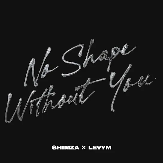 Shimza – No Shape Without You ft. LevyM Mp3 Download