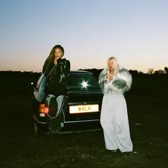 Skye Newman - Walk Mp3 Download